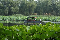 Yuanmingyuan, Beijing