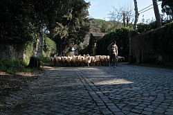 Appian Way, Rome