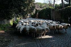 Appian Way, Rome