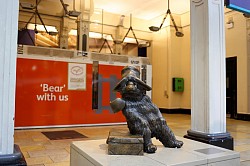 paddington Bear