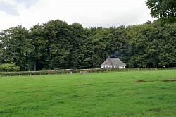 farmhouse, Cardiff