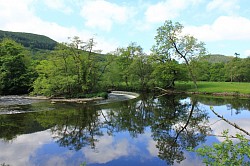 Horseshoe Falls