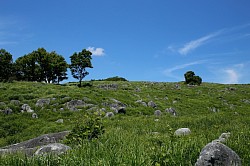 Karst topography