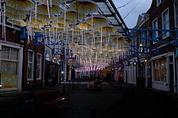 the umbrellas above