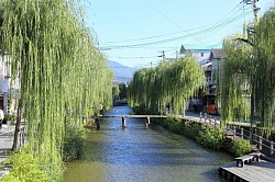 京都に久しぶりに行って来ました。中国や韓国から観光客が特定の観光地に押し寄せていました。この白川沿いはあまり観光客には知られていないのか、落ち着いて散策することができます。川の流れもきれいで世界的にみてもとても珍しいと思います。