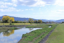 The River Kamogawa, Kyoto