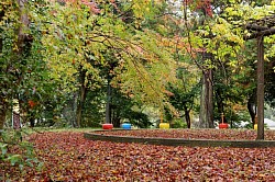 autumn park