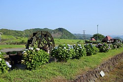 a waterwheel, Kochi