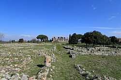 ancient Greek city, Paestum