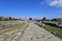 the Main Street of Paestum